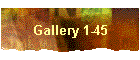 Gallery 1-45