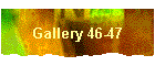 Gallery 46-47